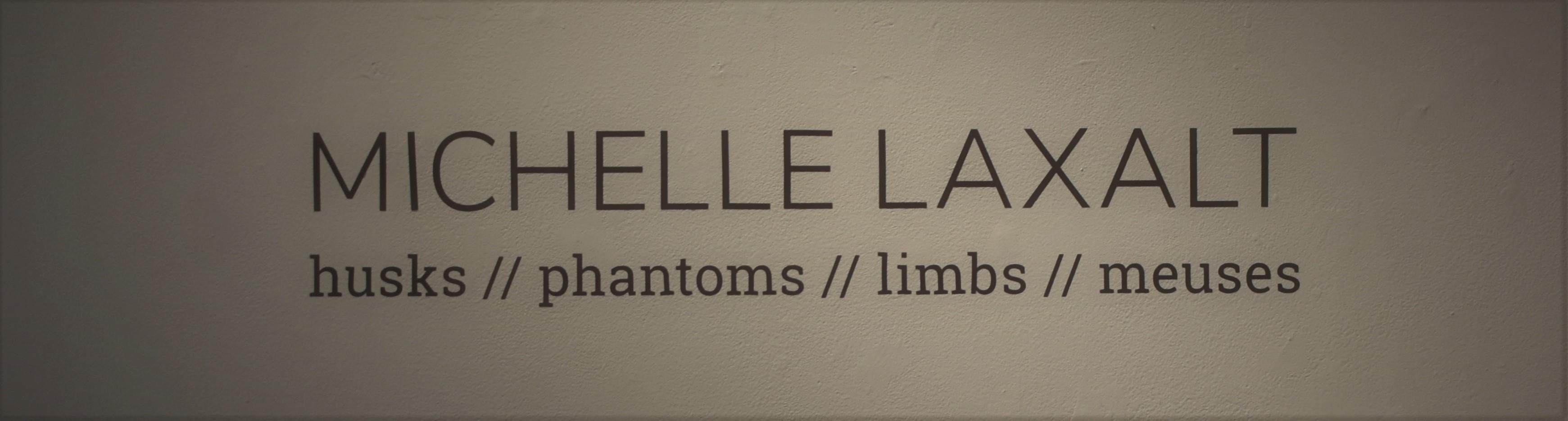 Mirroring Mortality, Michelle Laxalt's Exhibit Created a Fragile View of Dead Corpses