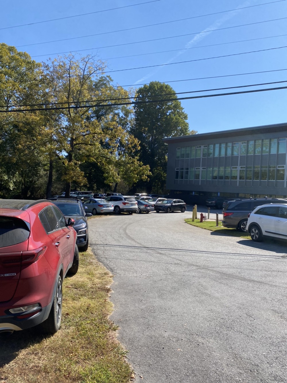 The Piedmont Parking Conundrum The Roar