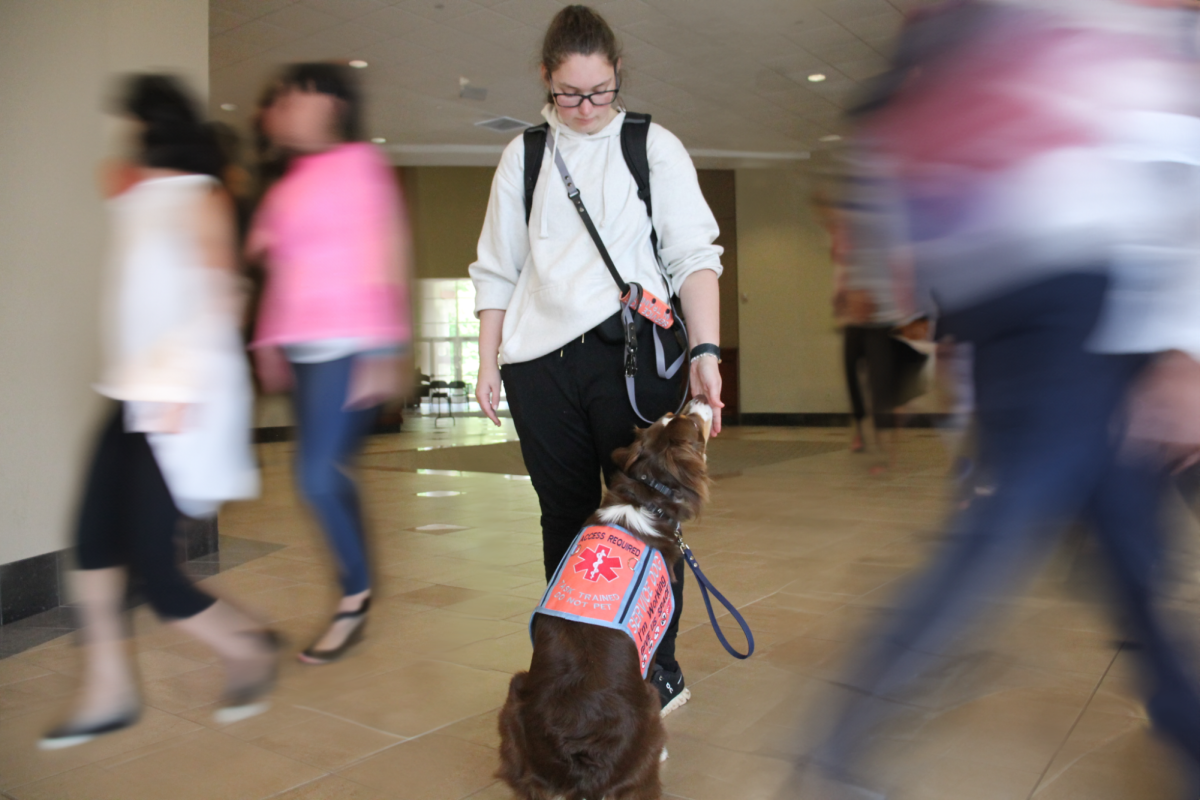 Even in a busy environment Everest is still able to keep her focus on Mary if she ever need to alert her to a medical episode. This is why its so important to not distract a service dog while they’re working, this includes talking to them, petting them, and making direct consistent eye contact.