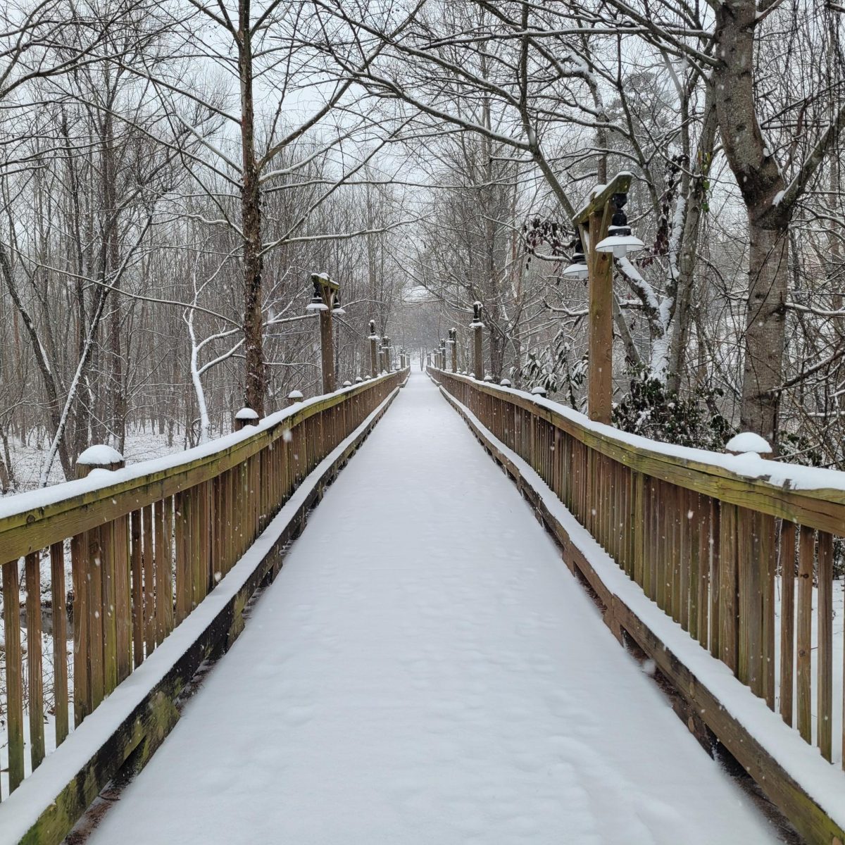 The Swanson Bridge over the wetlands is transformed into a wintery paradise with the fresh snowfall.