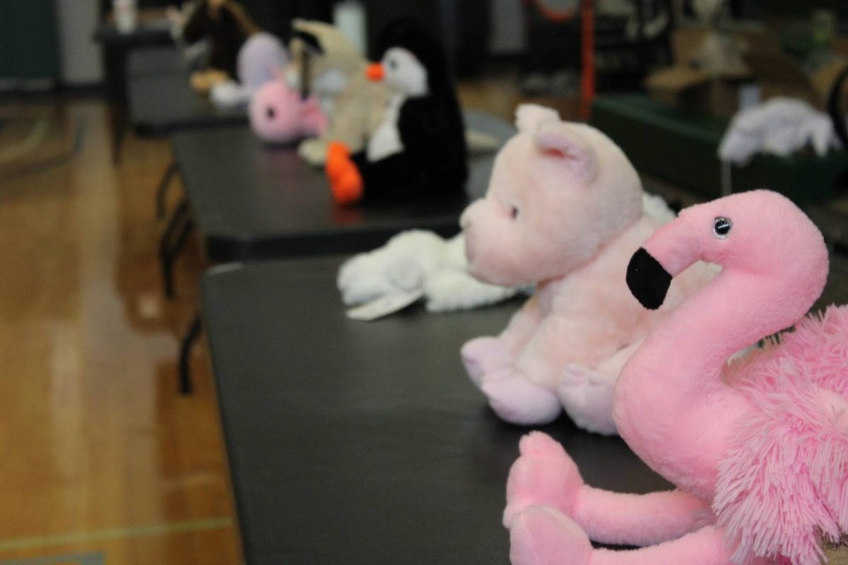 Campus Activity Board hosts the Create-A-Critter event on Feb. 13 in the Student Commons. 