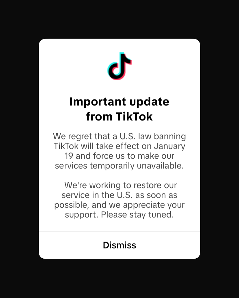 A user’s screenshot found during the TikTok blackout.