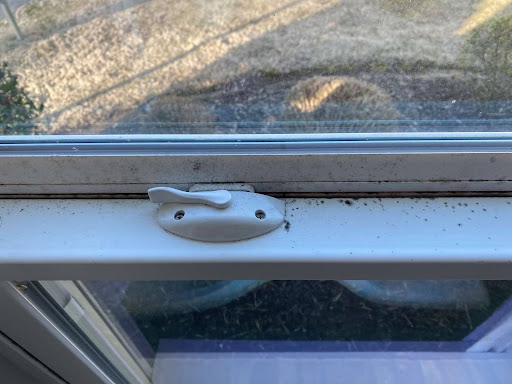 Black mold on the windowsill in the village housing at Piedmont University.